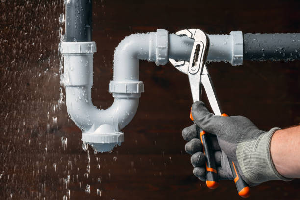 Professional Plumbing technician working in Mc David, FL